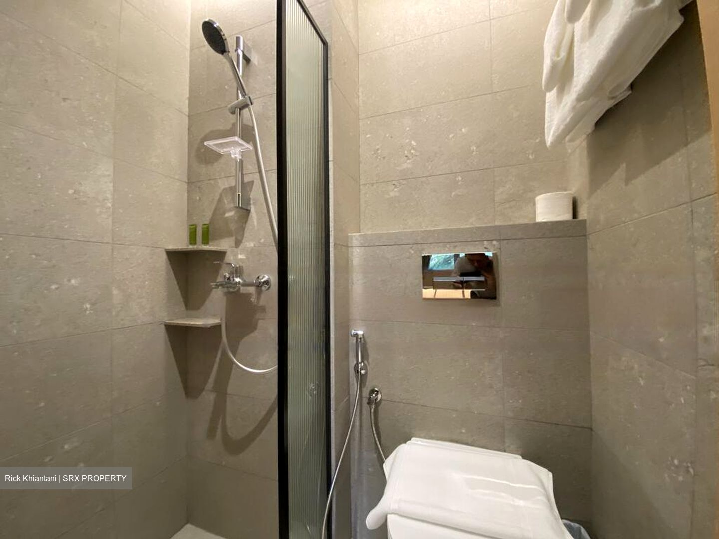 Mount Elizabeth Link (D9), Condominium #466085441